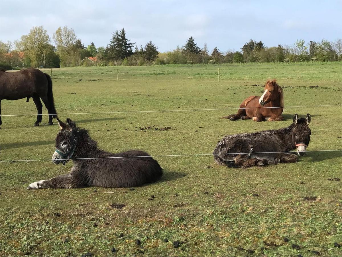 Bb-Vadehavet Ferielejlighed Til 6 Personer Ved Nationalpark Vadehavet รีเบอ ภายนอก รูปภาพ